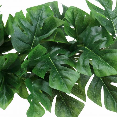 Floristik24 Wieszak Filodendron zielony 85cm