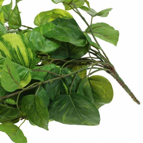 Produkt Wieszak na filodendron 80cm