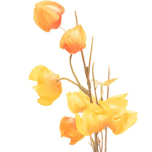 Sztuczna roślina w kształcie lampionu chińskiego, gałązka Physalis z kwiatami, 95 cm | Floristik24.pl