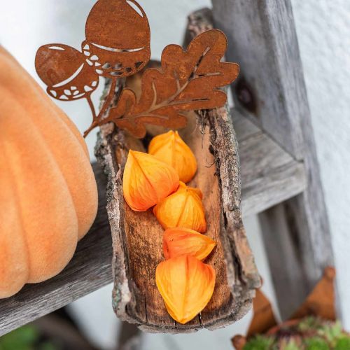 Floristik24 Physalis Orange Assorted 22 szt. Dekoracyjne sztuczne kielichy