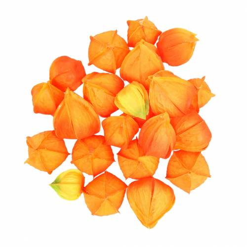 Floristik24 Physalis Orange Assorted 22 szt. Dekoracyjne sztuczne kielichy