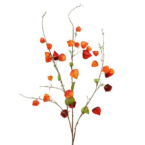 Floristik24 Physalis gałązka 90cm Pomarańczowy 3szt.