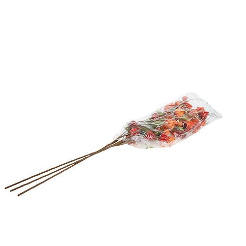 Floristik24 Physalis gałązka 90cm Pomarańczowy 3szt.