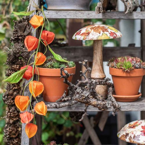 Floristik24 Oddział Physalis sztuczna pomarańcza 78cm