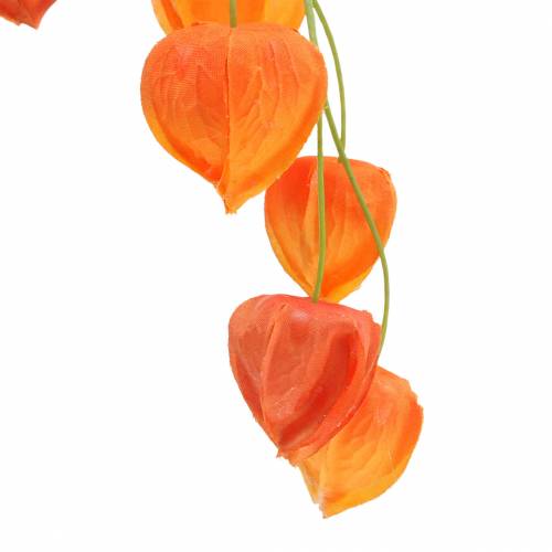 Floristik24 Oddział Physalis sztuczna pomarańcza 78cm