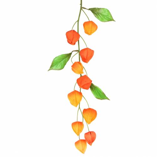 Floristik24 Oddział Physalis sztuczna pomarańcza 78cm