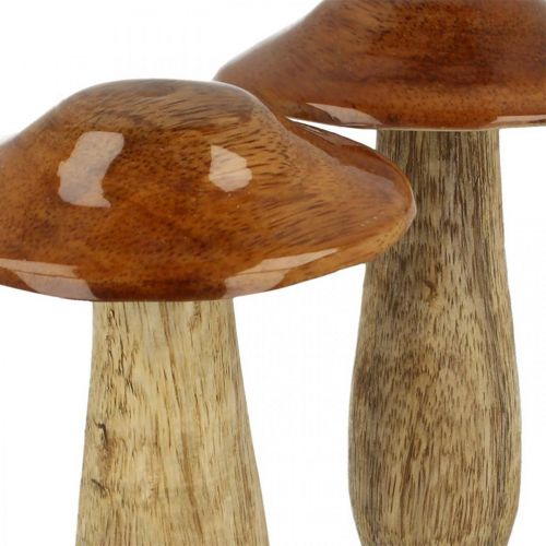 Floristik24 Grzybek Mango Wood Brown, Natura Dekoracja Stołu Jesień Ø9cm H12cm 2szt.