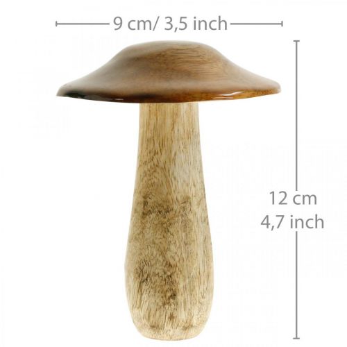 Floristik24 Grzybek Mango Wood Brown, Natura Dekoracja Stołu Jesień Ø9cm H12cm 2szt.