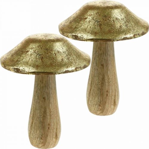 Floristik24 Mushroom mango wood gold, naturalne grzyby dekoracyjne duże Ø12cm H15cm 2szt