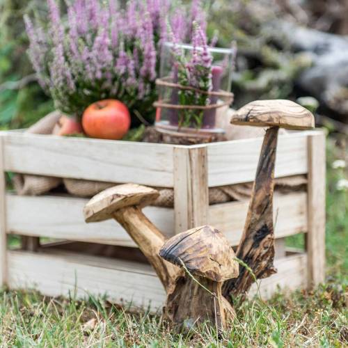 Floristik24 Grzyby Śliwka Drewno H27cm