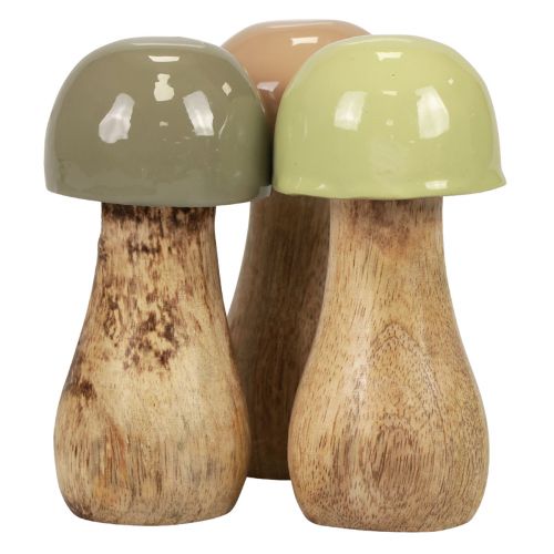 Floristik24 Grzyby drewniane Grzyby dekoracyjne drewniane beżowe, zielone Ø5cm W10,5cm 6szt