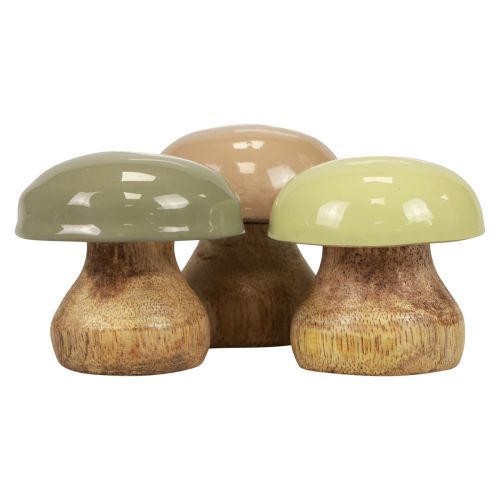 Floristik24 Drewniane Grzyby Deco Grzyby Drewniane Deco Beżowe, Zielone Ø5cm W5,5cm 12szt