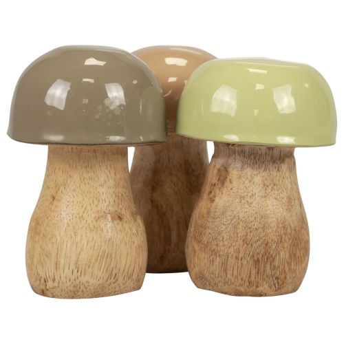 Floristik24 Grzyby drewniane grzybki dekoracyjne drewniane beżowe, zielone Ø5cm 7,5cm 12szt