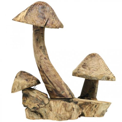 Floristik24 Grupa grzybów, drewno paulownia, dekoracja jesienna, rzeźba w drewnie wys.33cm dł.30cm