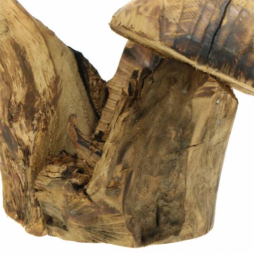 Floristik24 Grzyby Śliwka Drewno H27cm