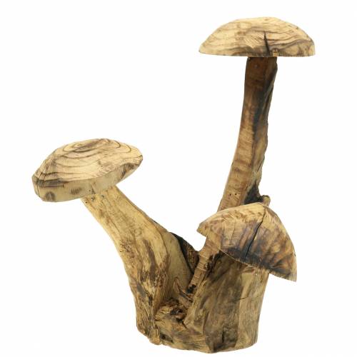 Floristik24 Grzyby Śliwka Drewno H27cm
