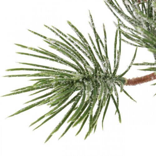 Floristik24 Gałązki świąteczne sztuczna sosna ośnieżona 30cm 6szt