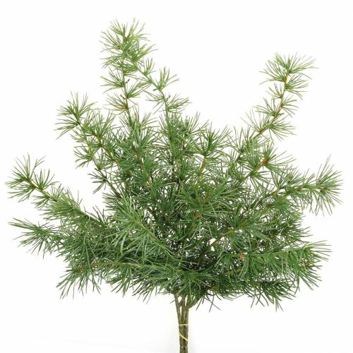 Floristik24 Sztuczna gałązka sosny zielona 53cm 3 szt