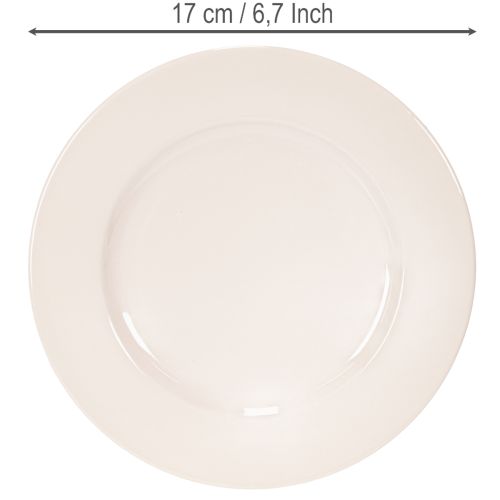 Okrągłe, proste talerze do dekoracji i małych aranżacji, 17 cm, 6 sztuk | Floristik24.pl