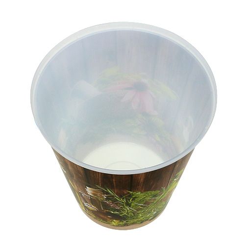Floristik24 Doniczka plastikowa z motywem ziół Ø12cm H13,5cm, 1szt.