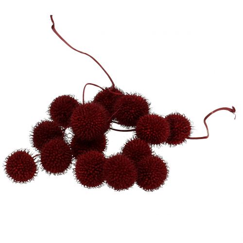 Floristik24 Owoce platana suszone ciemnoczerwone 250g