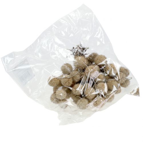 Floristik24 Owoce platanu myte na biało 250g