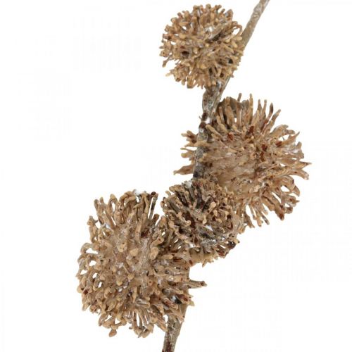 Produkt Dekoracyjna gałąź platan z owocami Jesienna dekoracja Sztuczny platan brązowy L82cm Ø2-4cm