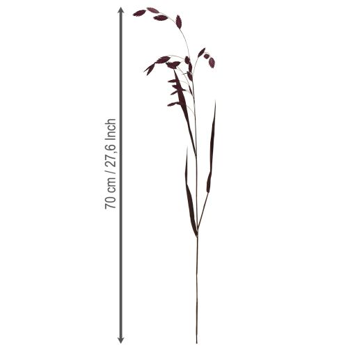 Produkt Trawa płaskoucha sucha Chasmantium fioletowa 70cm 10 szt.