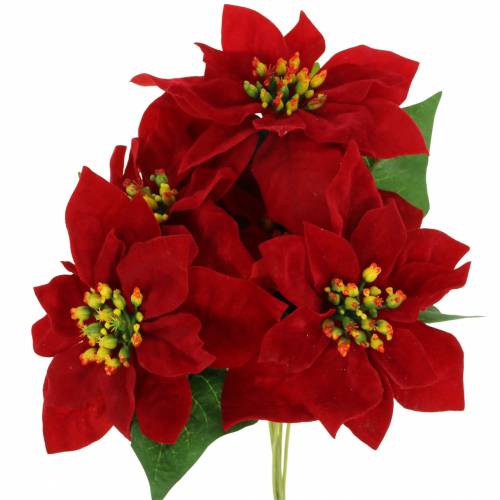 Bukiet poinsecji z czerwonego aksamitu 35cm