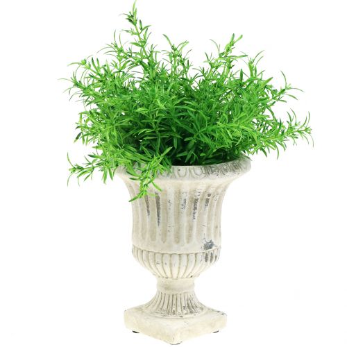 Floristik24 Filiżanka do roślin antyczny krem Ø14cm W17cm