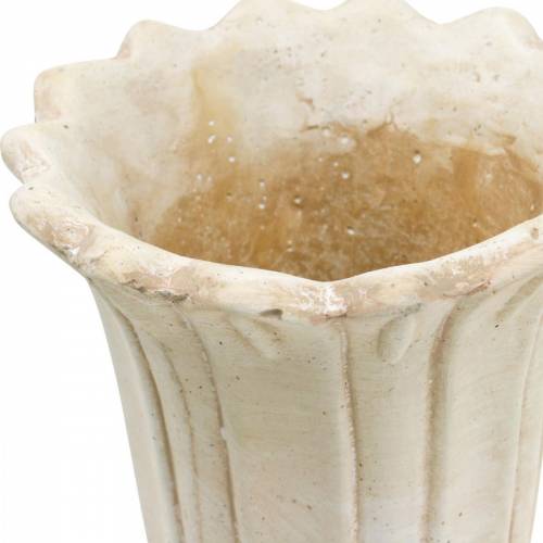 Floristik24 Amfora dekoracyjna, puchar do sadzenia roślin, puchar tulipanowy Ø12cm H25,5cm 2szt.