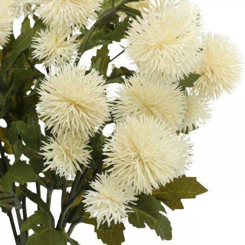Floristik24 Gałązka Pompom Kremowa Gałązka Dekoracyjna Jesień 55cm 4szt.