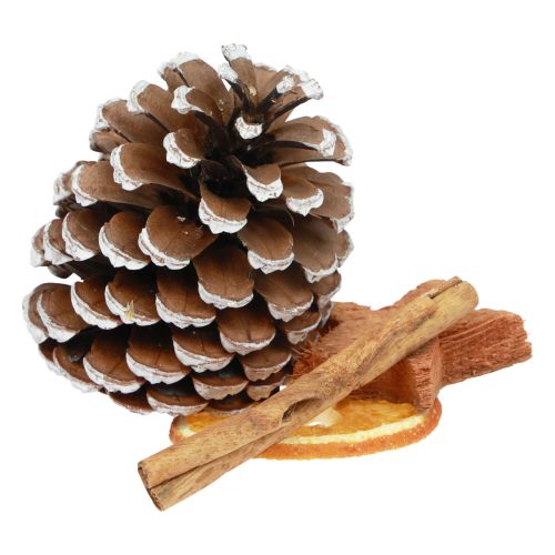 Floristik24 Potpourri Świąteczne plastry pomarańczy, szyszki z drewna cynamonowego 150g