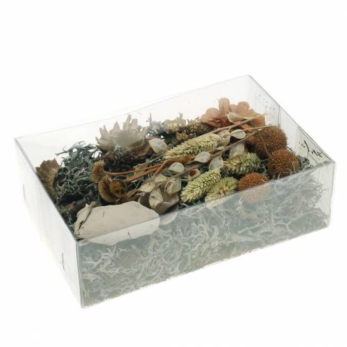 Floristik24 Herbstdeko Mix jako zestaw do rękodzieła Dried Bleached 150g