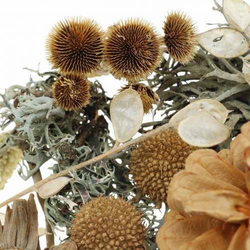 Floristik24 Herbstdeko Mix jako zestaw do rękodzieła Dried Bleached 150g