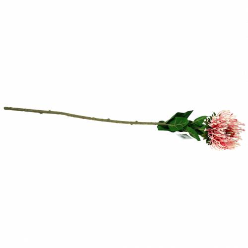 Produkt Protea Sztuczny Róż 73cm