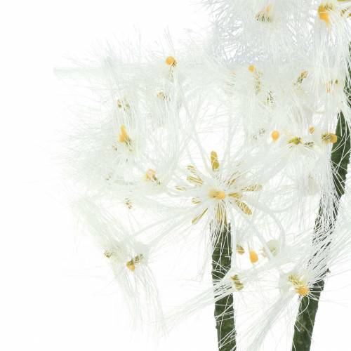 Produkt Sztuczny kwiat łąkowy Giant Dandelion White 57cm