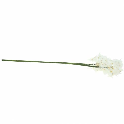 Floristik24 Sztuczny kwiat łąkowy Giant Dandelion White 57cm