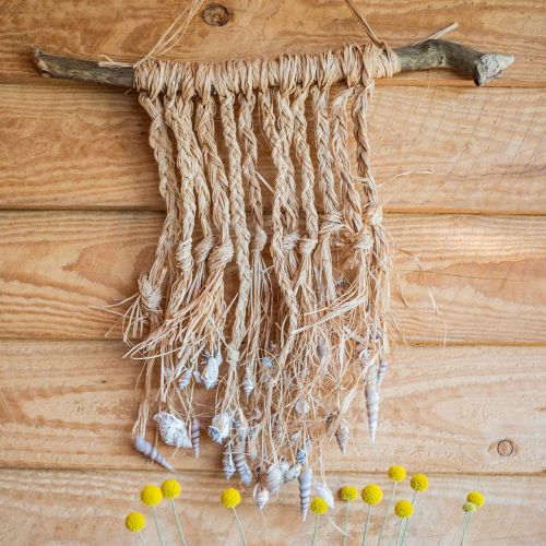 Floristik24 Mieszanka małży natura 3cm – 5cm 200g