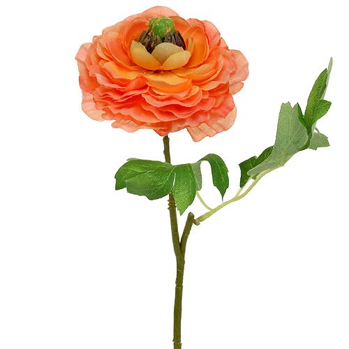 Floristik24 Ranunculus pomarańczowy 27cm 8szt