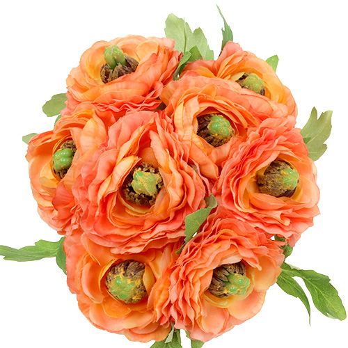 Floristik24 Ranunculus pomarańczowy 27cm 8szt