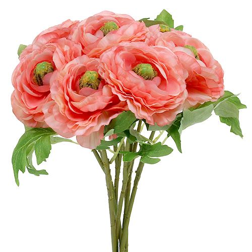 Floristik24 Ranunculus różowo-różowy 27cm 8szt