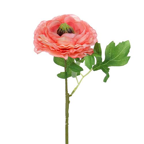 Floristik24 Ranunculus różowo-różowy 27cm 8szt