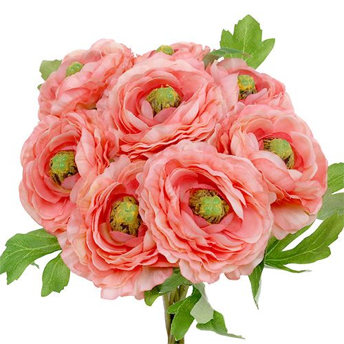 Floristik24 Ranunculus różowo-różowy 27cm 8szt