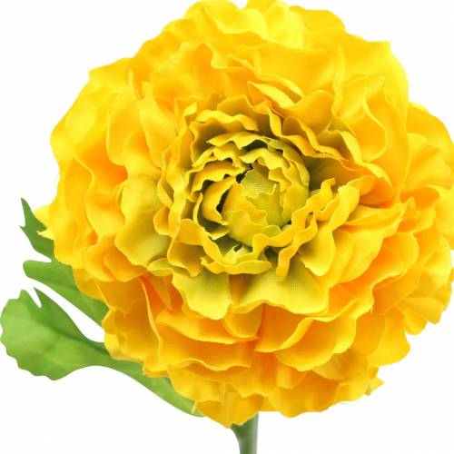 Floristik24 Ranunculus Żółty H45cm
