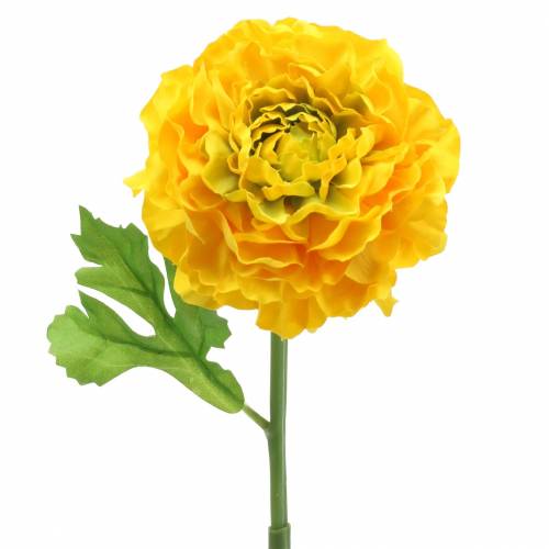 Floristik24 Ranunculus Żółty H45cm