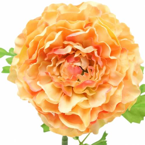 Produkt Ranunculus Salmon H45cm