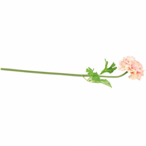 Produkt Jaskier Brzoskwiniowy H45cm