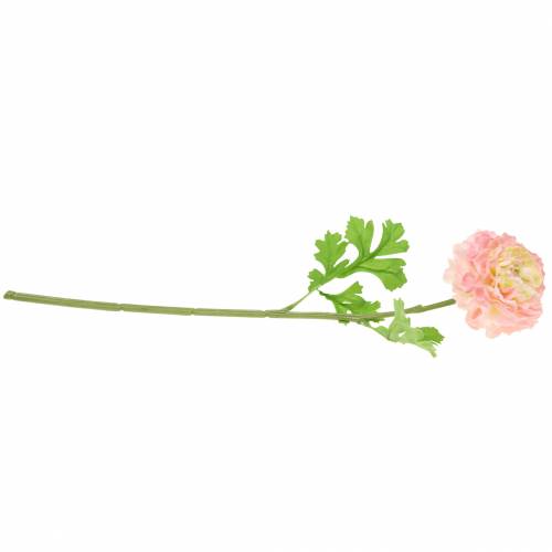 Produkt Jaskier różowy W45cm