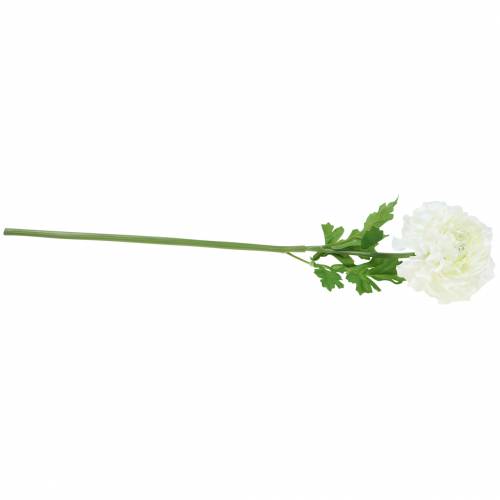 Produkt Ranunculus White H45cm